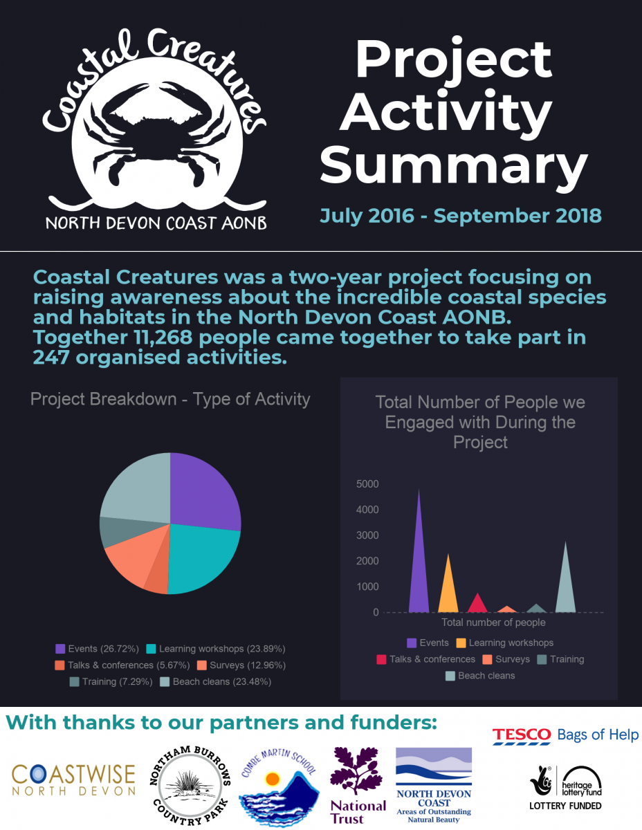 Project Activity Summary